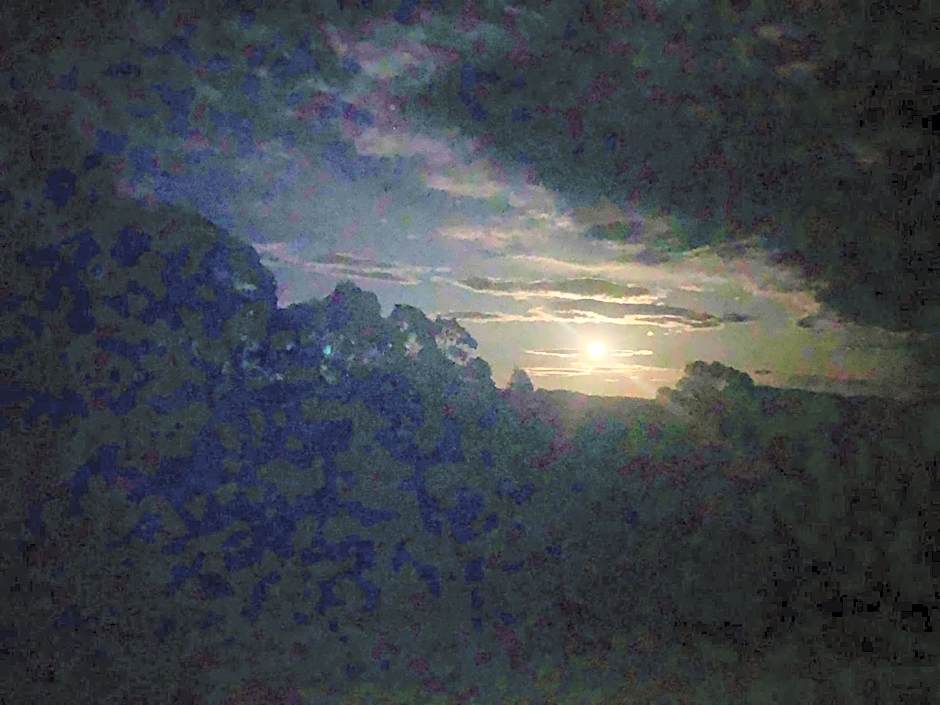 Tiny Nerak, Nethercote near Eden