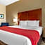 Comfort Inn & Suites Navasota