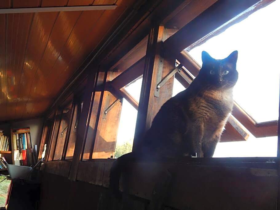 Casa com vista para o vale - Serra Gaúcha