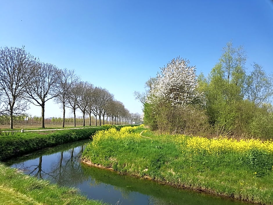 B&B Het Zwanennest