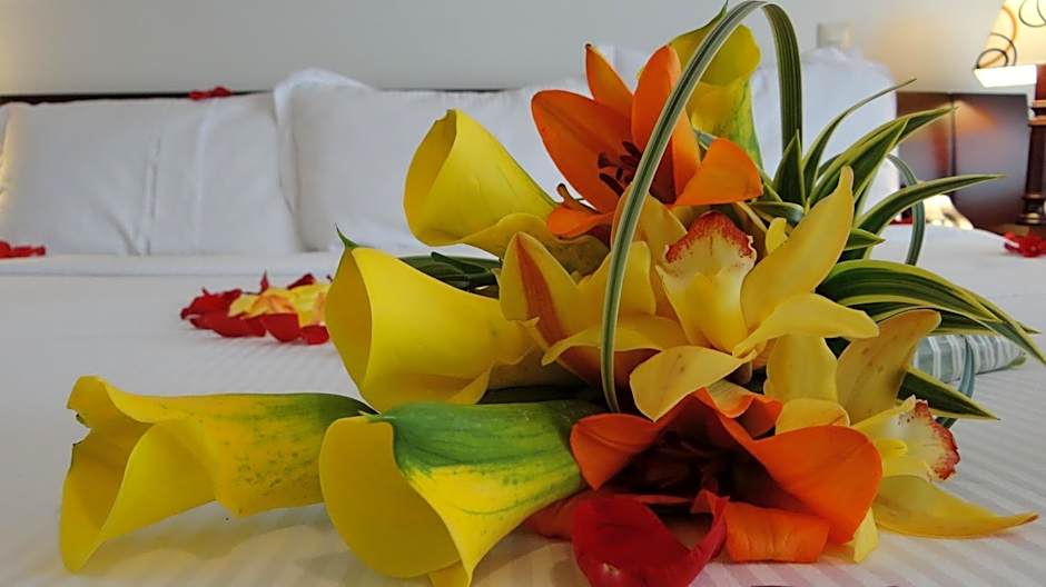 Hotel Platinum Suite