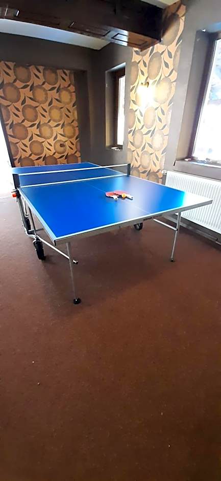 Pensiunea Montan din Bran,sat Simon SPA indoor