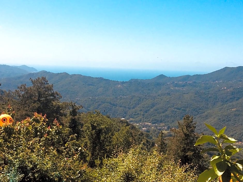 Locanda del Sale Affittacamere