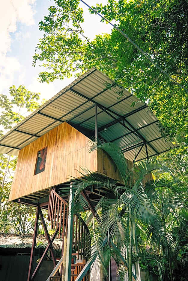 Flutterby House Hostel