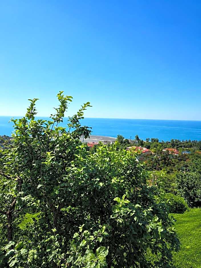 Bungaport Luxury Bungalows&Suits