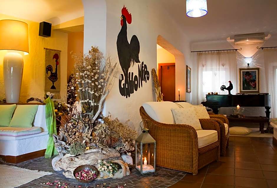Hotel Gallo Nero