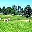 St Ives Midlands