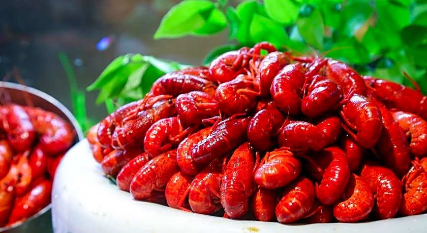 HUALUXE Wuxi Taihu By IHG