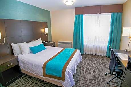 Queen Room with Roll-In Shower - Mobility Accessible/Non-Smoking