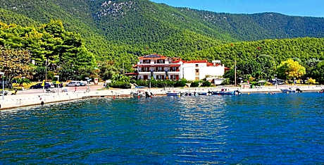 Superior Studio with Forest and Side Sea View