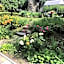 Bed & Breakfast L'Albero Maestro