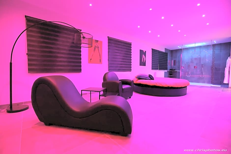 Ds Plaisir Love Room avec sauna, jacuzzi à Nancy