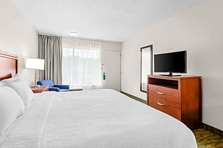 1 King Bed Nonsmoking