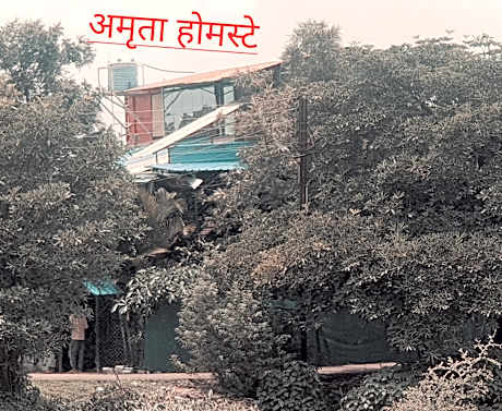 amruta homestays