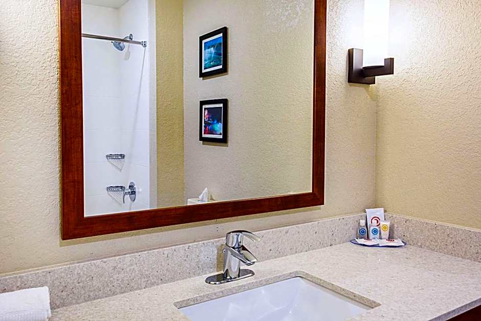 Comfort Inn & Suites Niagara Falls Blvd USA