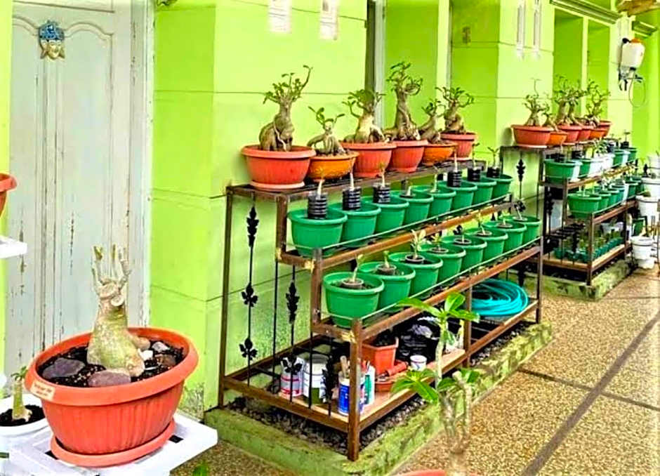 Hotel O Wisma Aliyah Near Sidrap