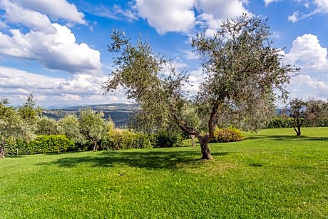 Fattoria Querceto