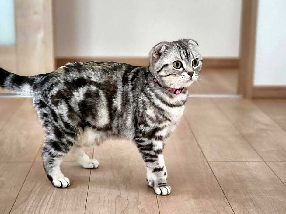 大和屋ホテルいろは