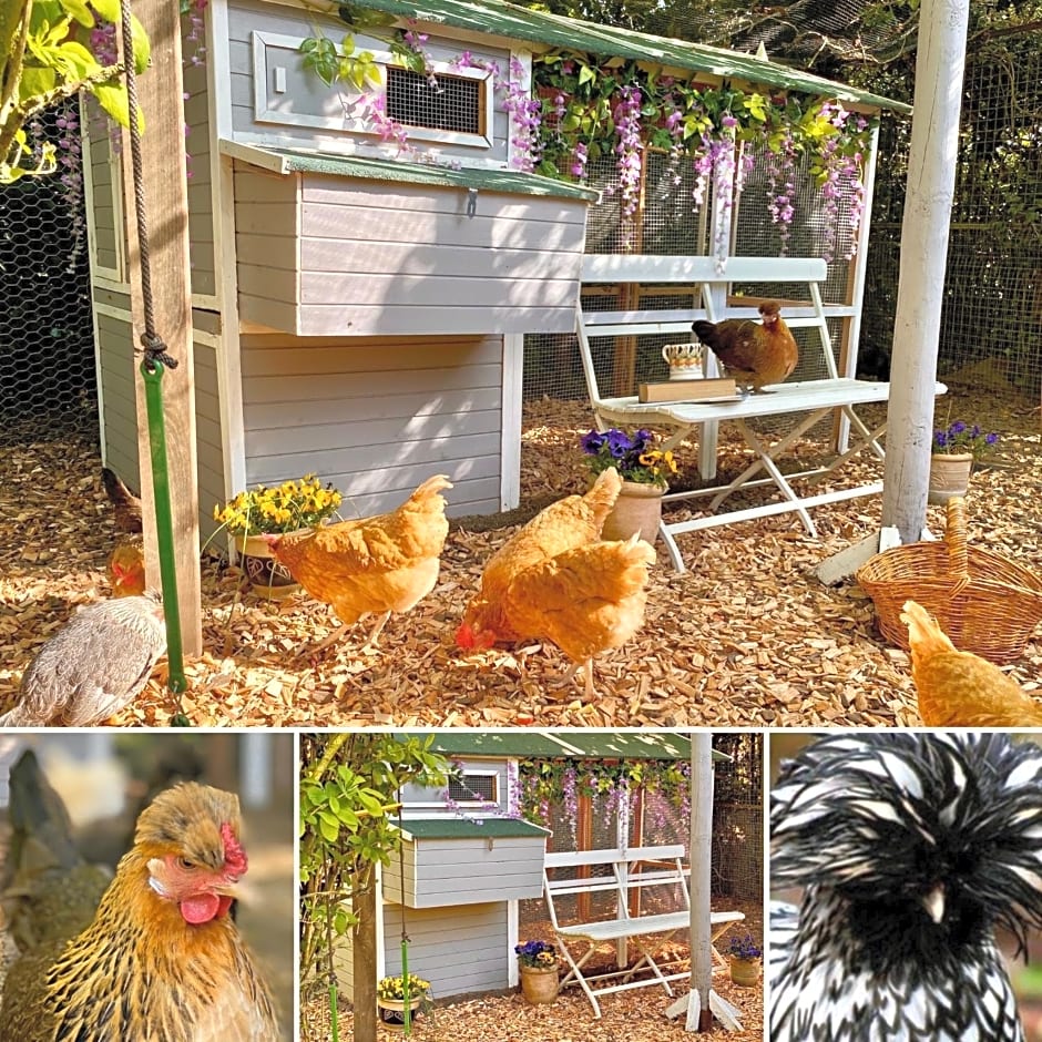 Old Hall Country Breaks