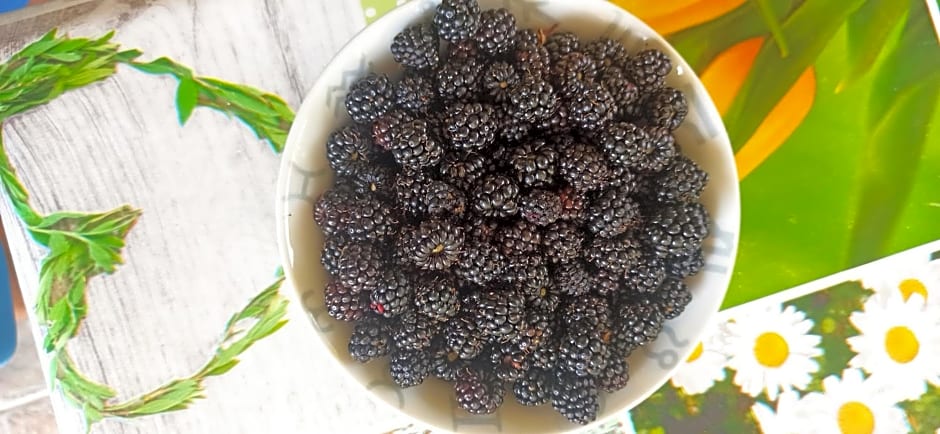 B&b il campanile di leone Pina