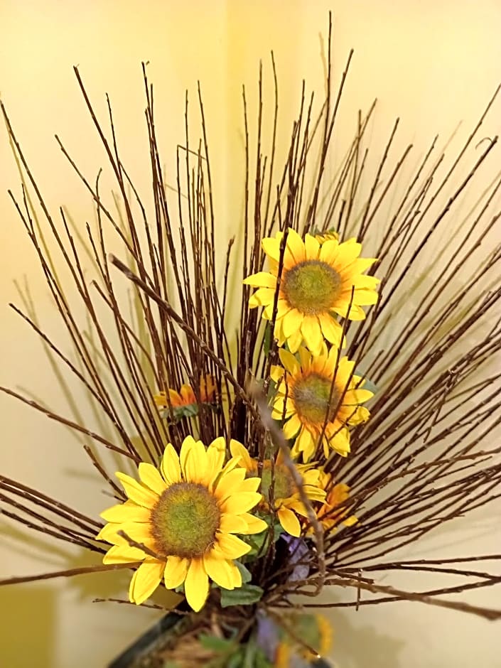 A1 Girasole B&B