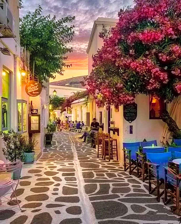 Stephany's Skyline Studio