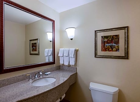 2 Queen Mobility Hearing Accessible Studio with Tub