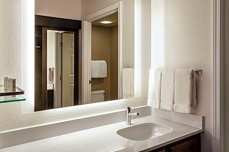 Studio, 1 King Bed with Sofa bed (Mobility Accessible, Tub) (1 King Bed and 1 Double Sofa Bed)