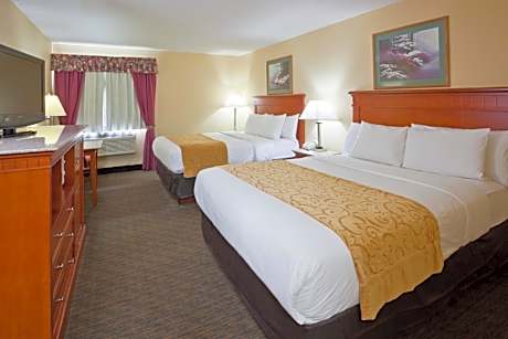 Standard Queen Room with Two Queen Beds