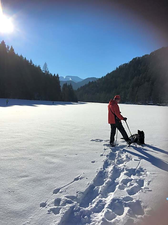 Gasthof Zum Niederhaus - Familie Perthold