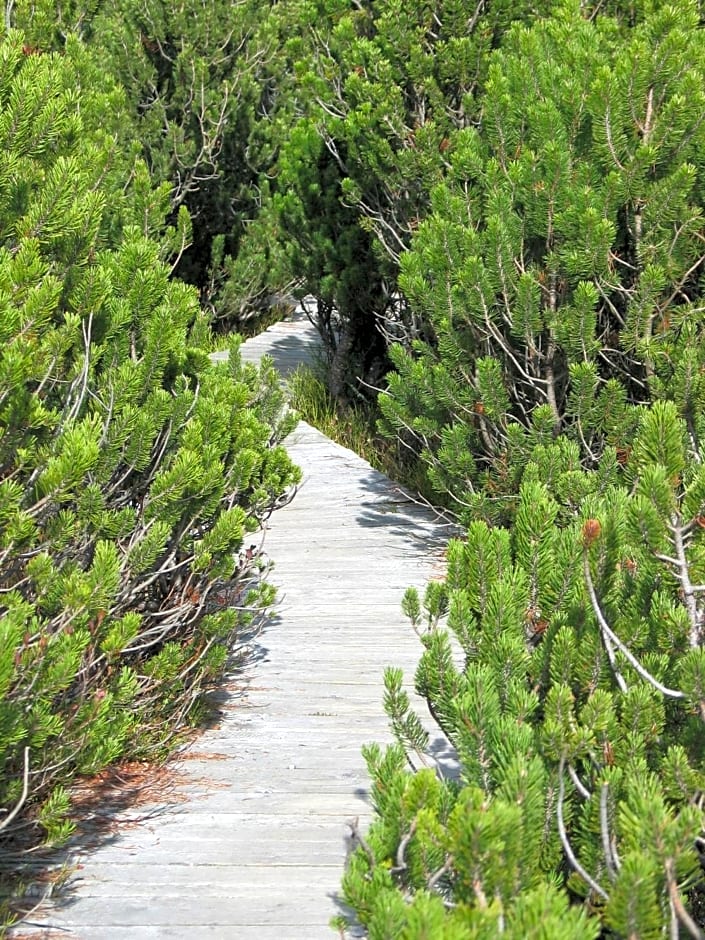 Hotel Srní depandance - Šumava