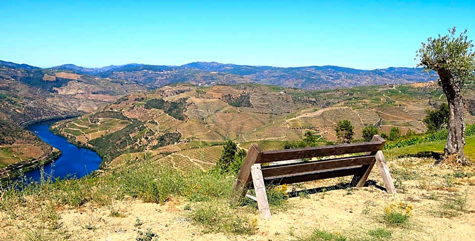 Stay at the Winemaker