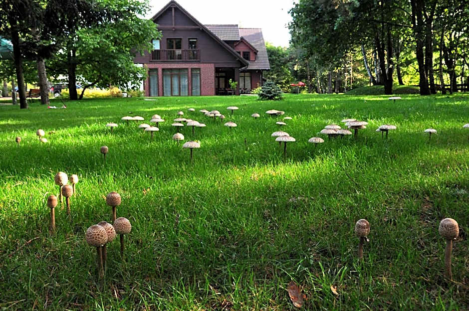 Osada Grzybowski Młyn