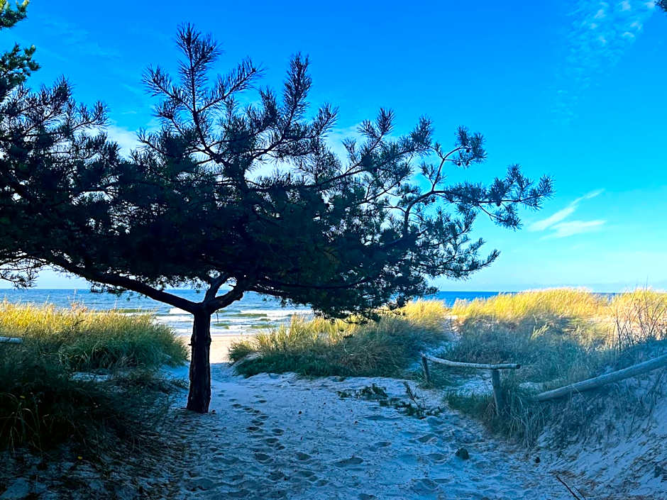 Rewita Rogowo k Kołobrzegu