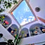 Riad Sijane