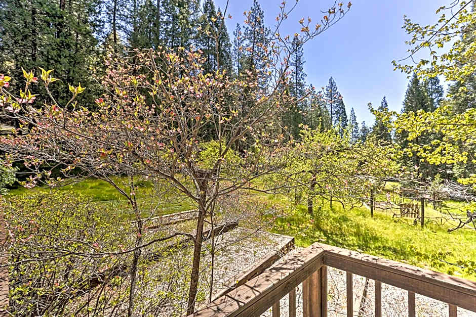 Vibrant Weaverville Escape with Deck and Creek!