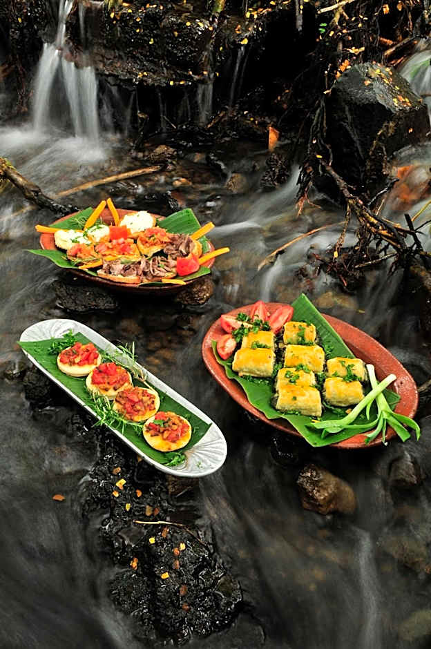 Rivertrees Country Inn