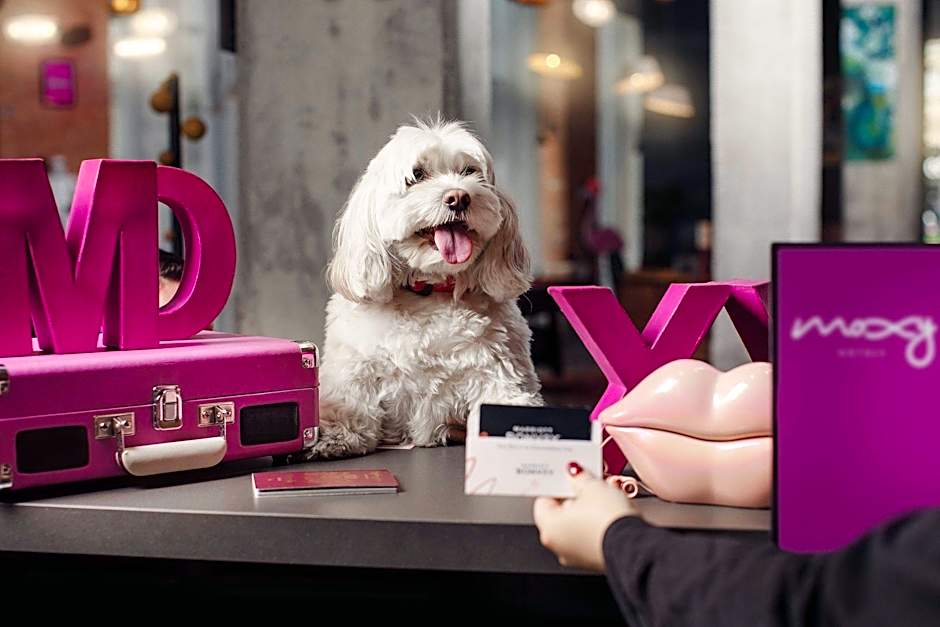 Moxy by Marriott Tbilisi