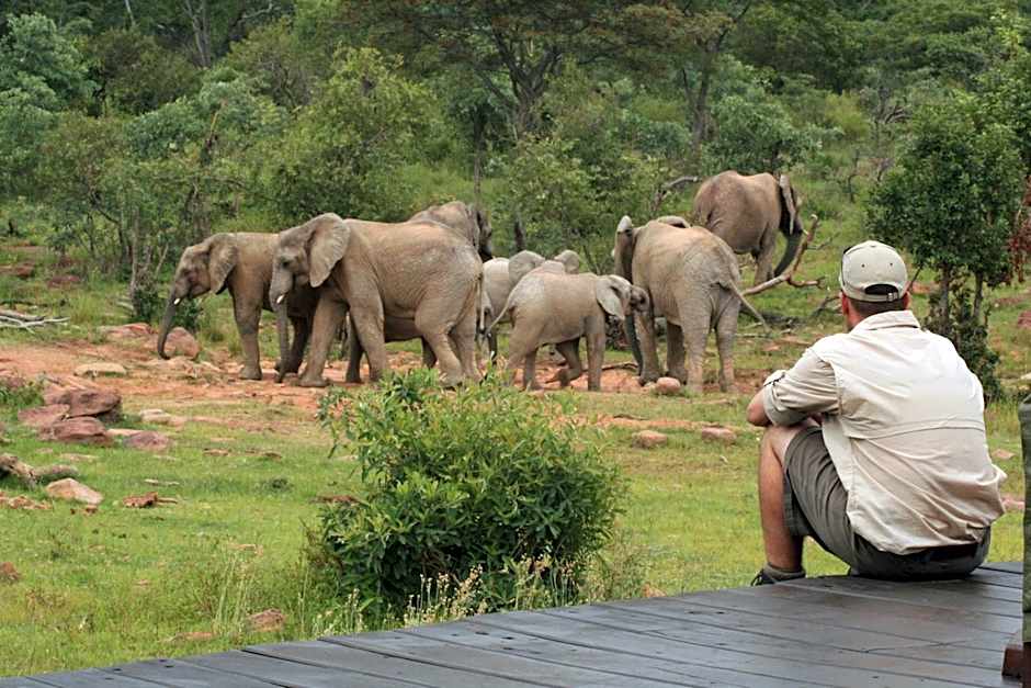 Makweti Safari Lodge