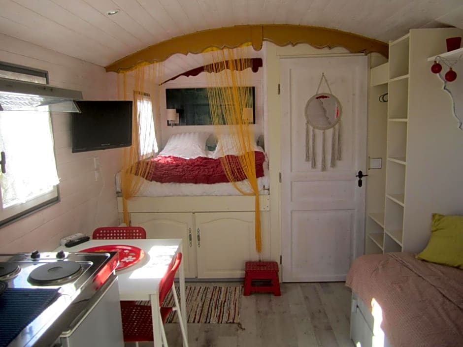 MAS MAURANE-Roulotte avec SPA privé aux portes d'ARLES