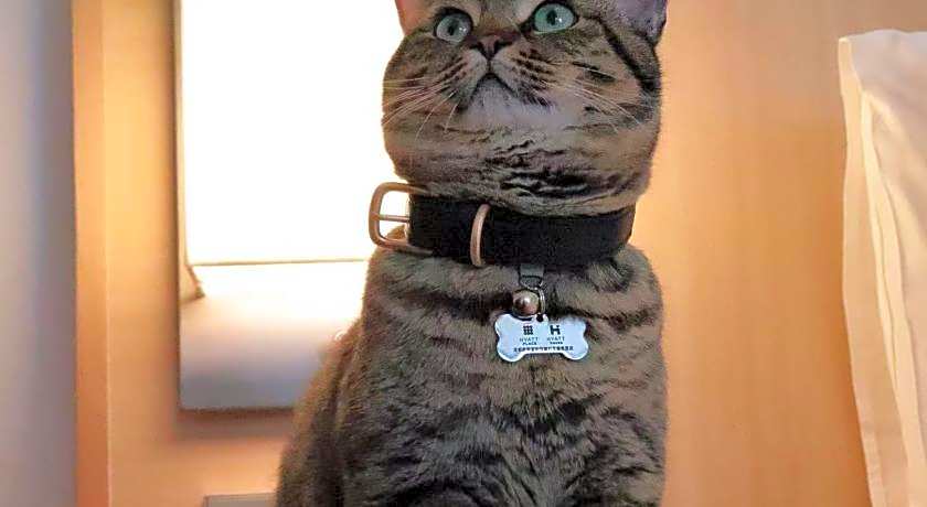 Hyatt Place Chengdu Pebble Walk