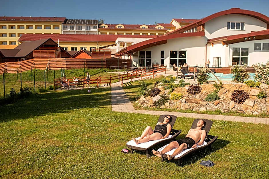 Wellness Hotel Frymburk