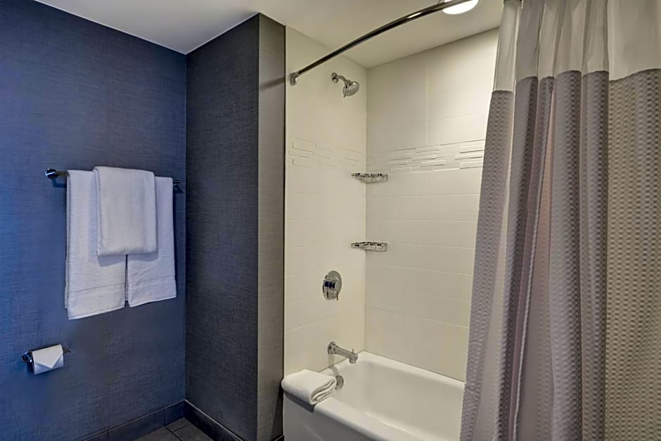 Residence Inn by Marriott New Orleans French Quarter Area/Cen B