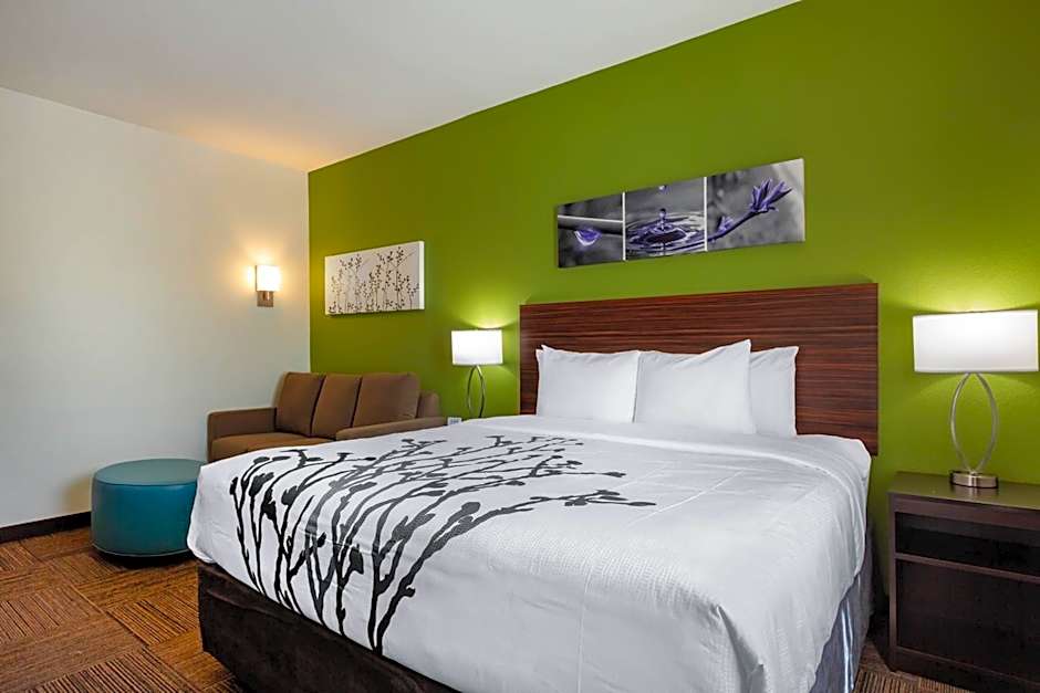 Photo 1 of 5 of 1 King Bed with Sofabed Suite