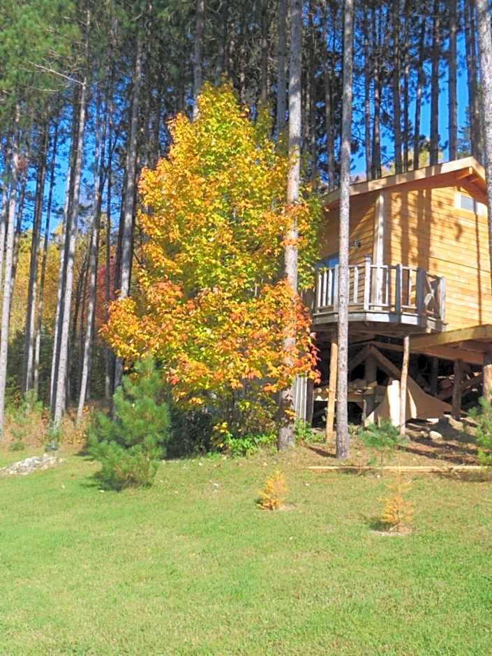 La maison sous les arbres
