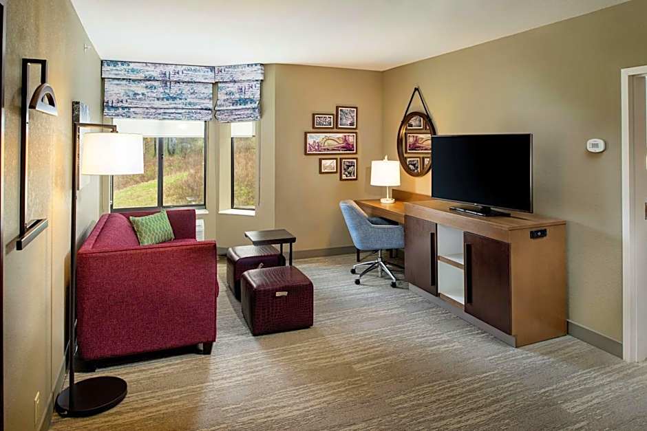 Hampton Inn By Hilton & Suites Binghamton/Vestal
