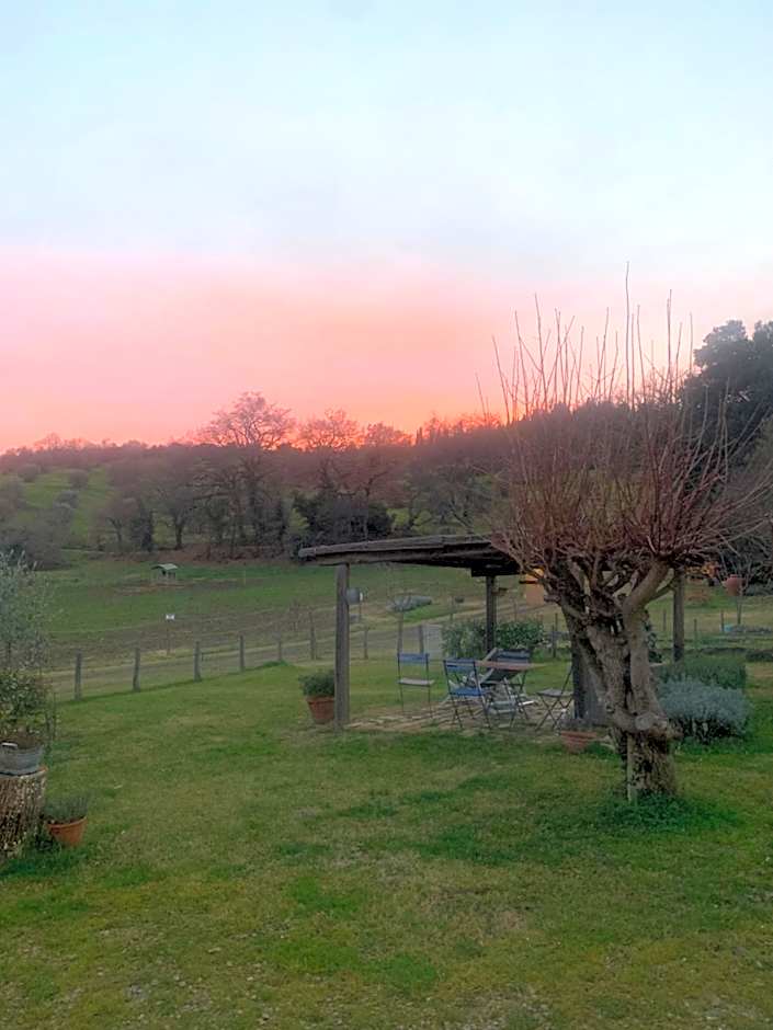 Borgo Montefreddo Toscana