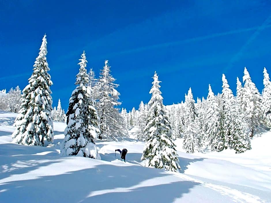 Nature Bio Hotel Elite