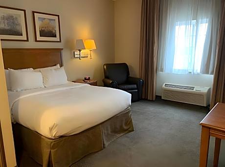 1 Bedroom Suite
