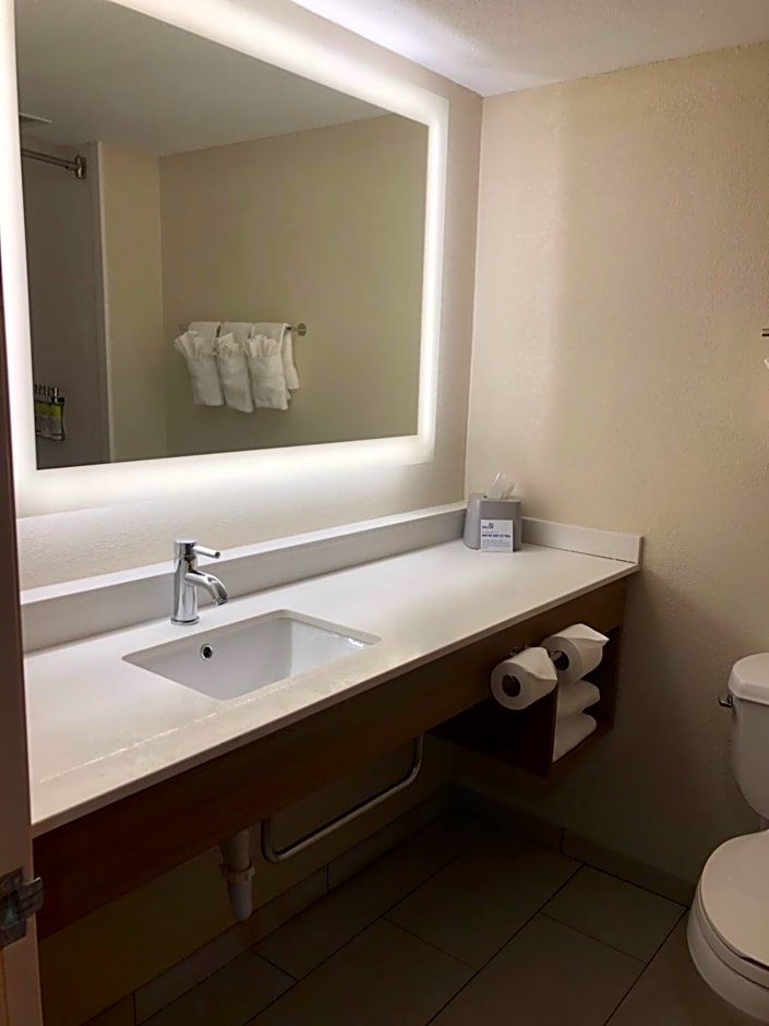 Holiday Inn Express and Suites Cedar Falls Waterloo By IHG